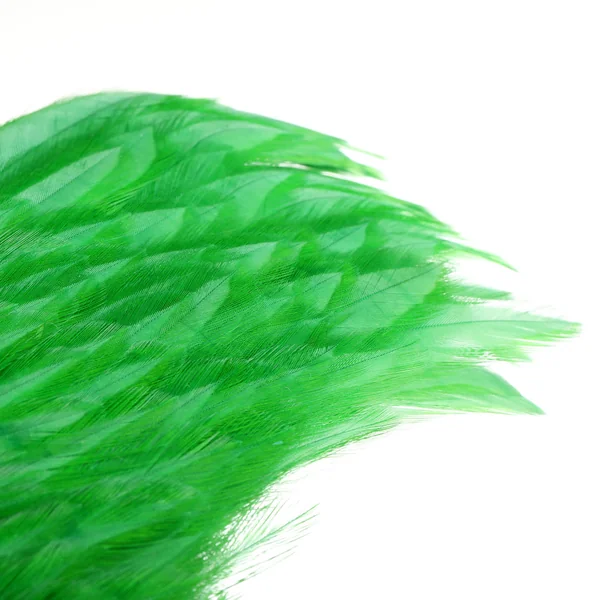 Whiting Gallo Americano 1/2 Capa - Imagen 4