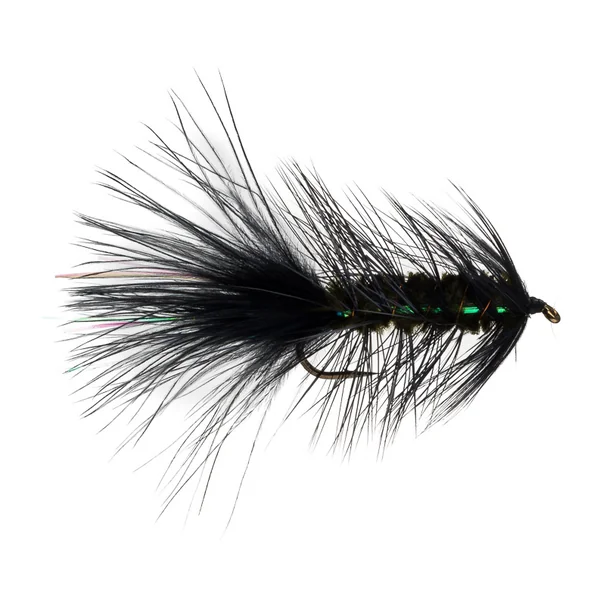 Whiting Gallo Americano 1/2 Capa - Imagen 5
