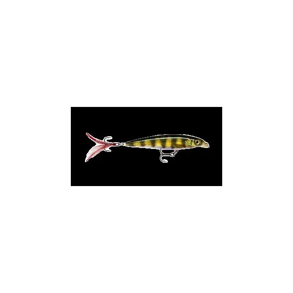 X-RAP XR06 - Imagen 6